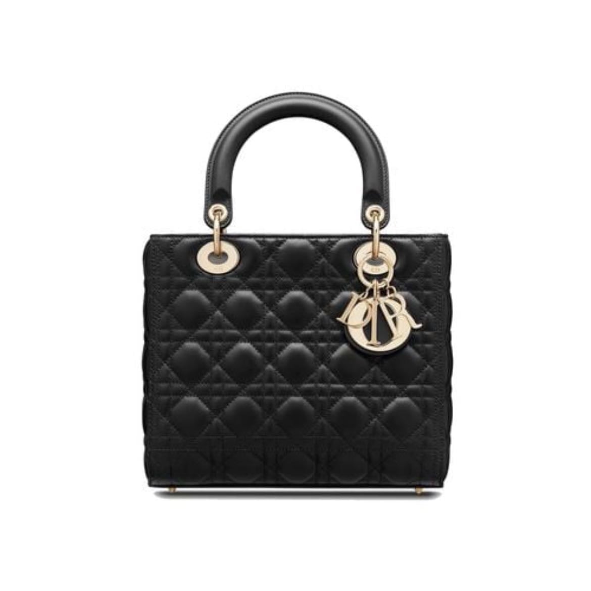 dior bag mini