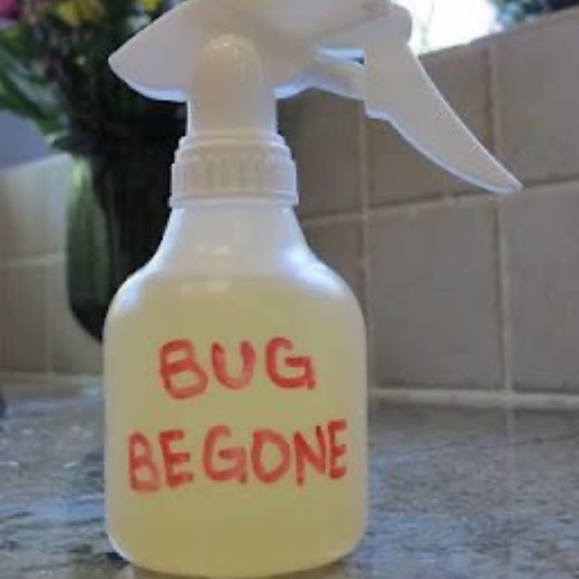 Bug repellent!