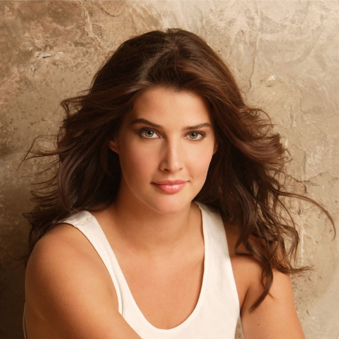 cobie smulders - robin scherbatsky defender