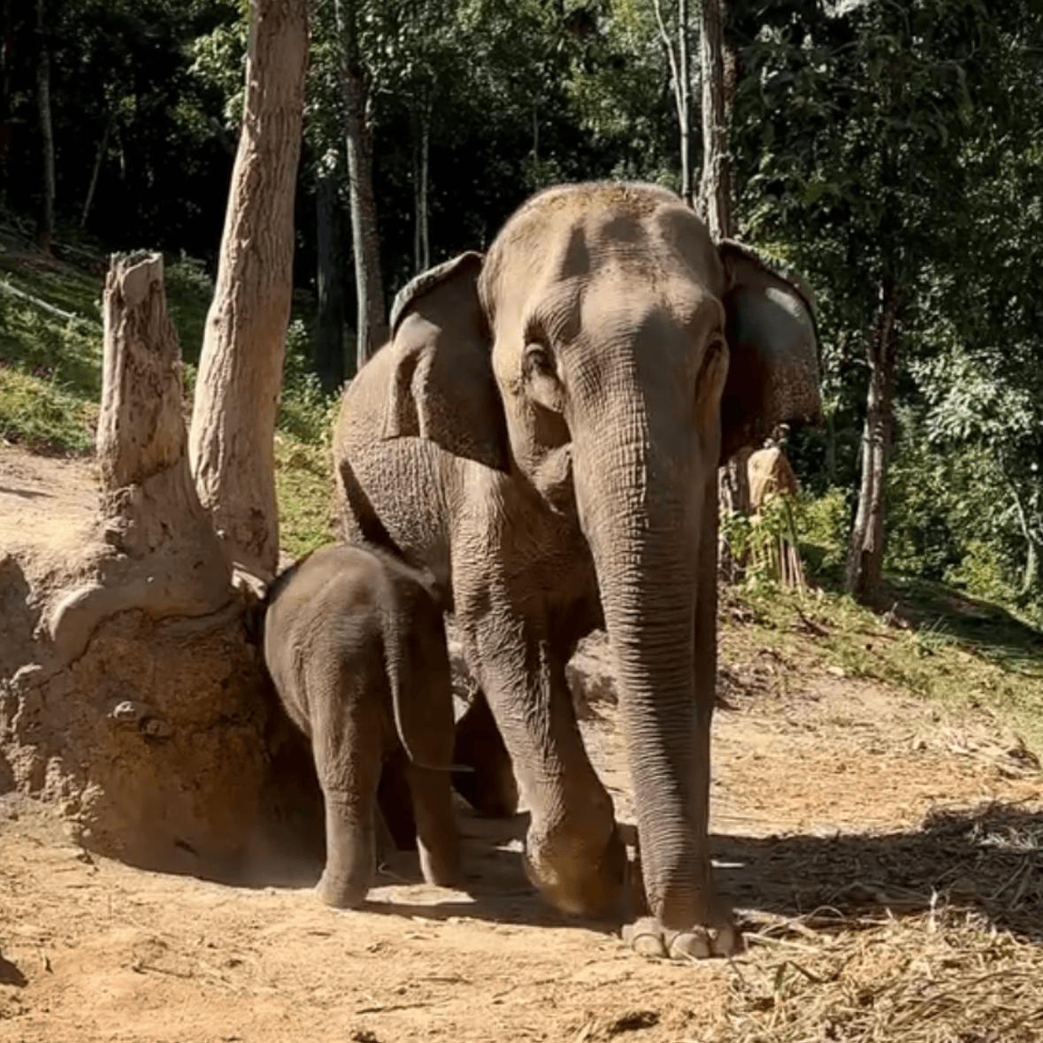 Chiang Mai - Tailandia