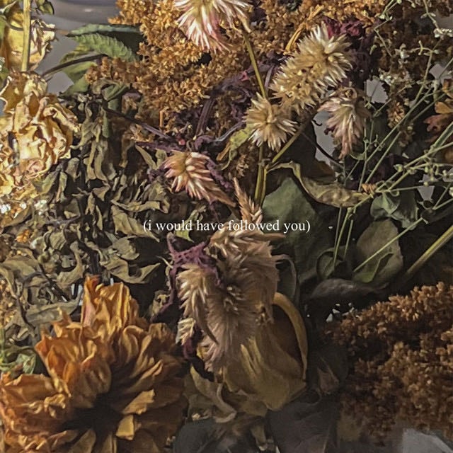 Love Letter From The Sea to The Shore - Song 路 Delaney Bailey