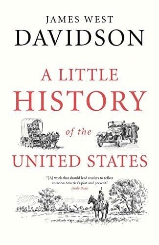 A Little History of the United States (Little Histories) - James West Davidson · 2016