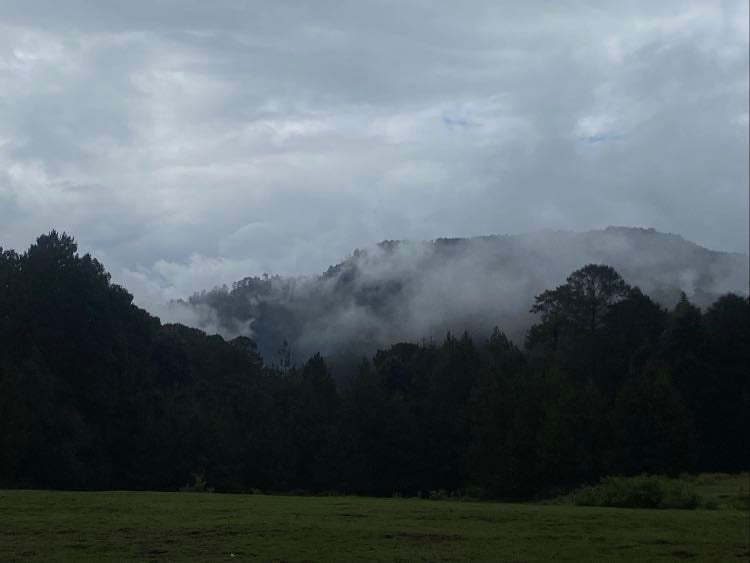 Nature