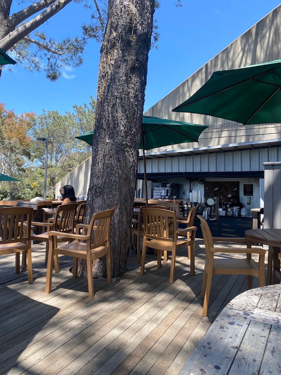 Pinpoint Cafe
