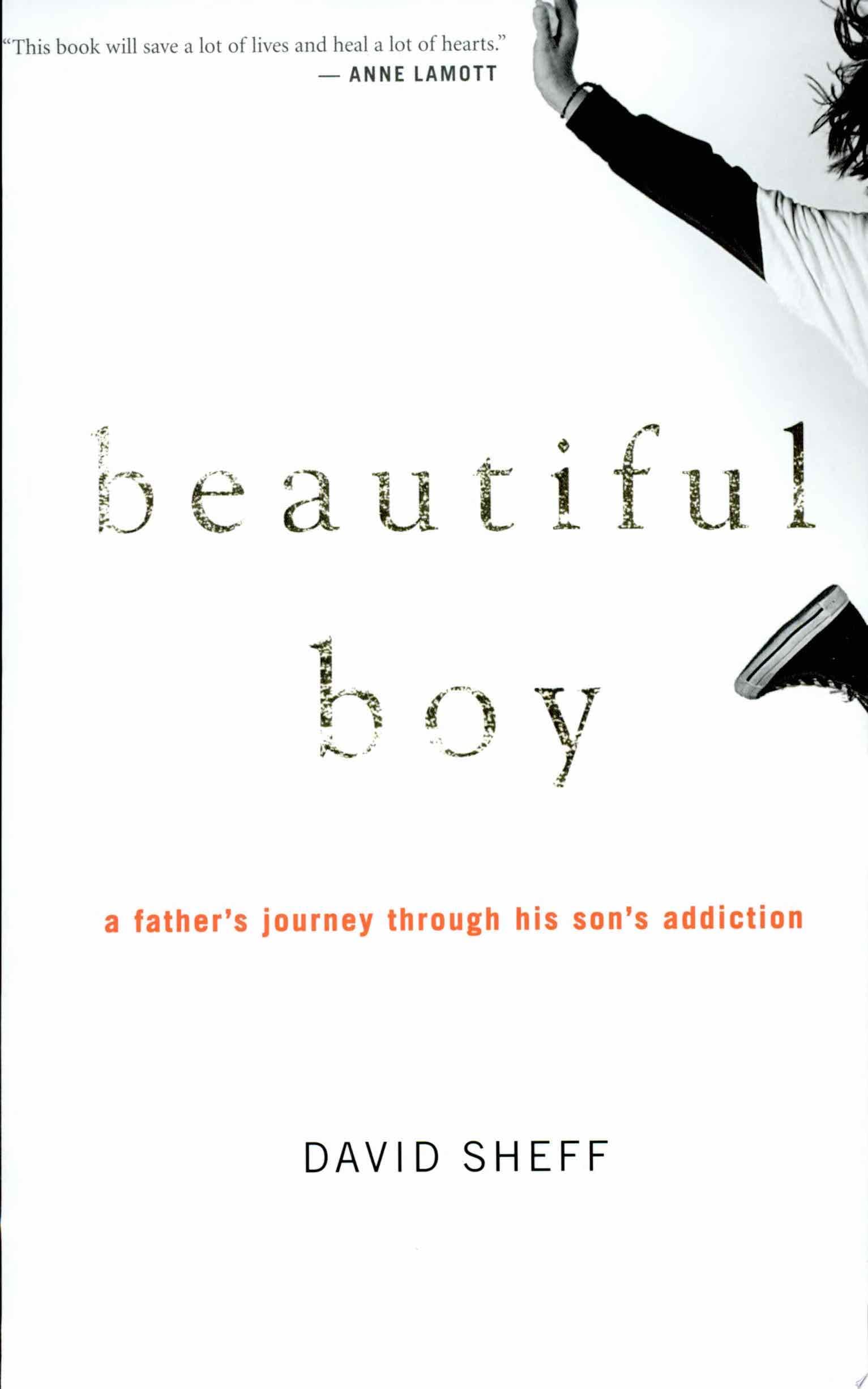 Beautiful Boy - David Sheff