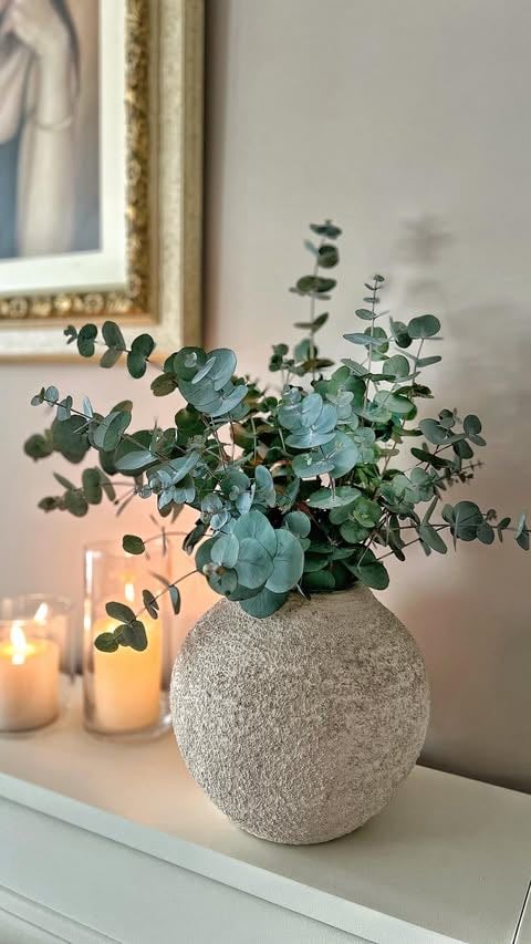 A post shared by 𝘈𝘳𝘢𝘤𝘦𝘭𝘪 | Home 𝘥𝘦𝘤𝘰𝘳 (@withbrushandpaper) - Eucalipto fresco