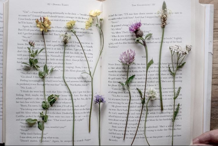 collect and press flowers
