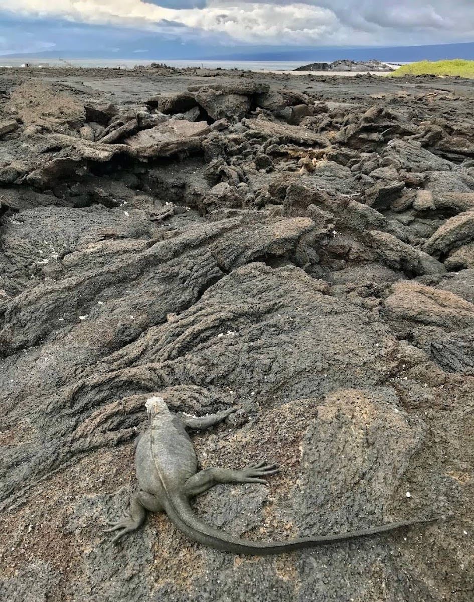 Galapagos Island