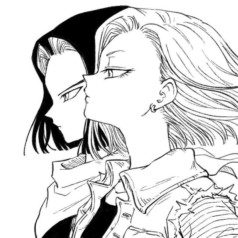 c17/c18
