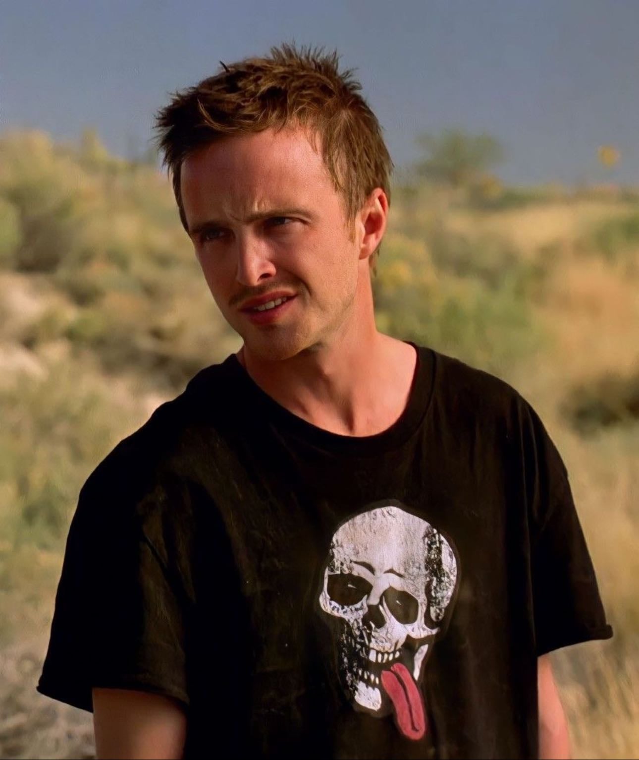 Jesse Pinkman - Breaking Bad