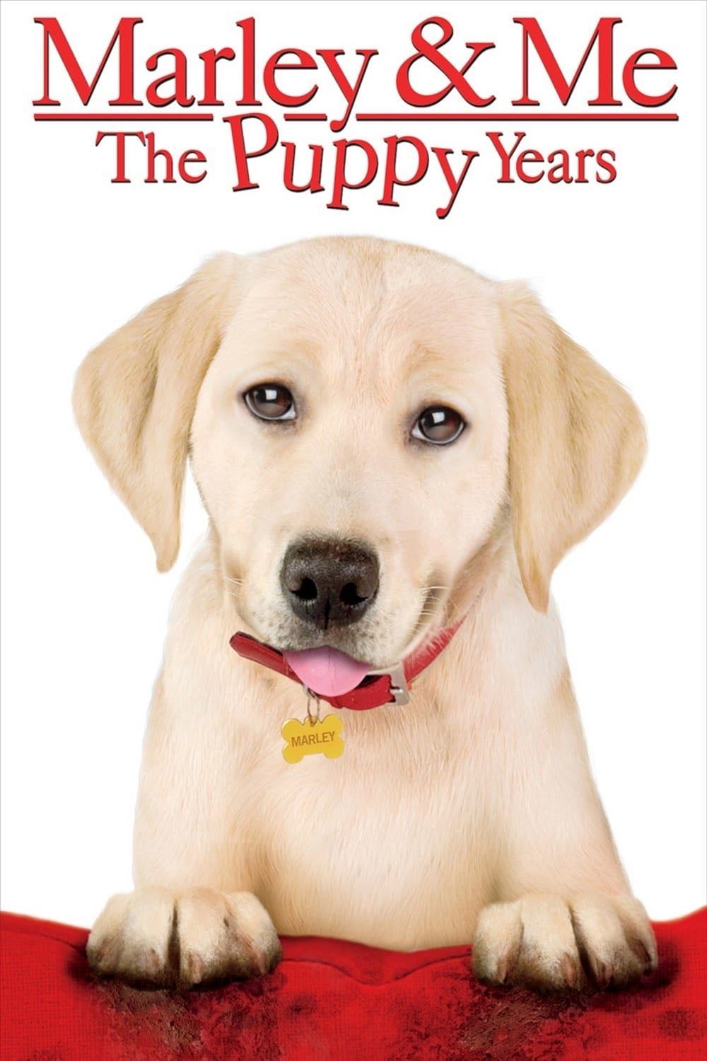 Marley & Me: The Puppy Years - Michael Damian · 2011
