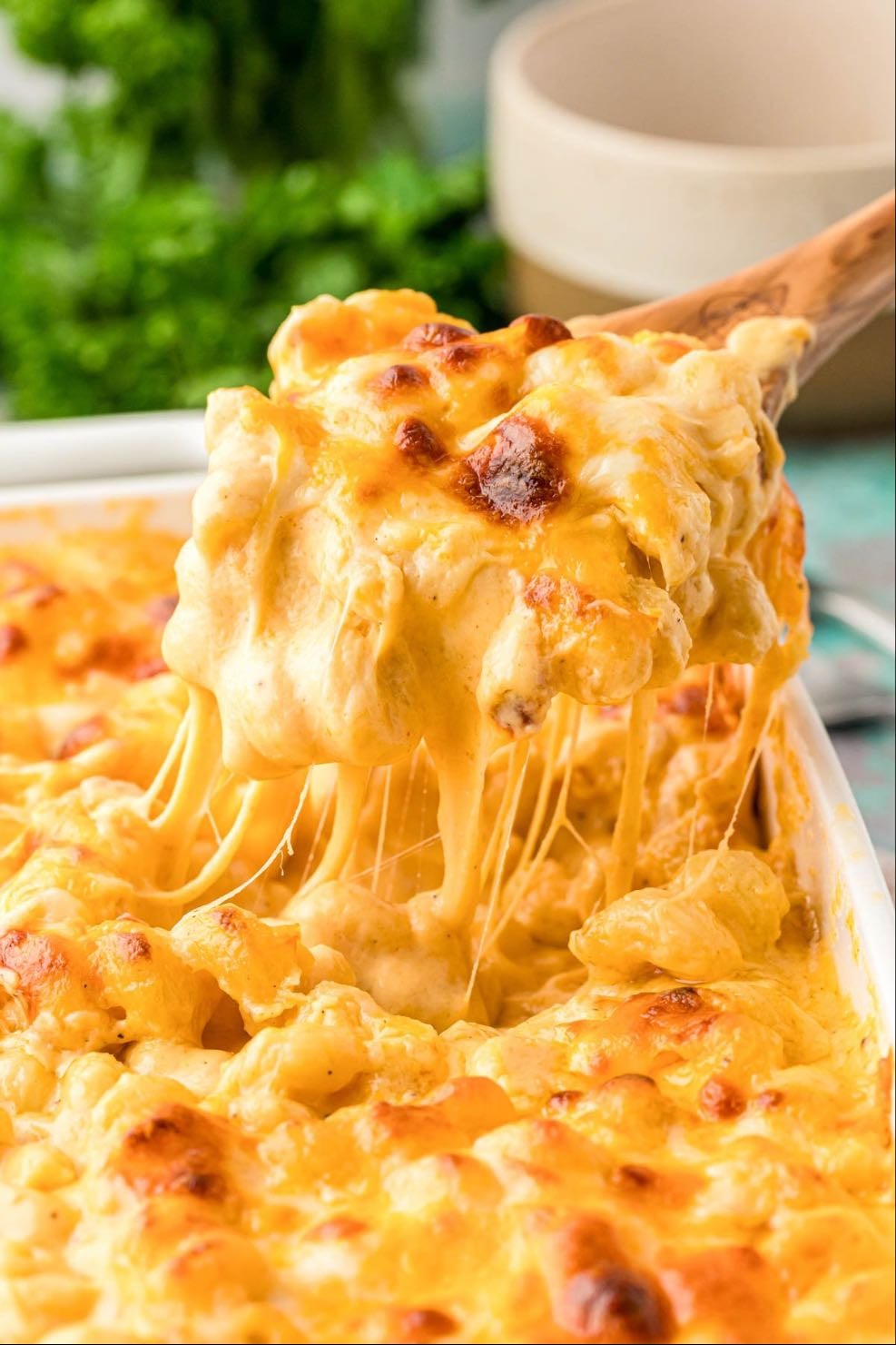 Mac and Cheese - https://www.tiktok.com/t/ZP8rW2yxT/