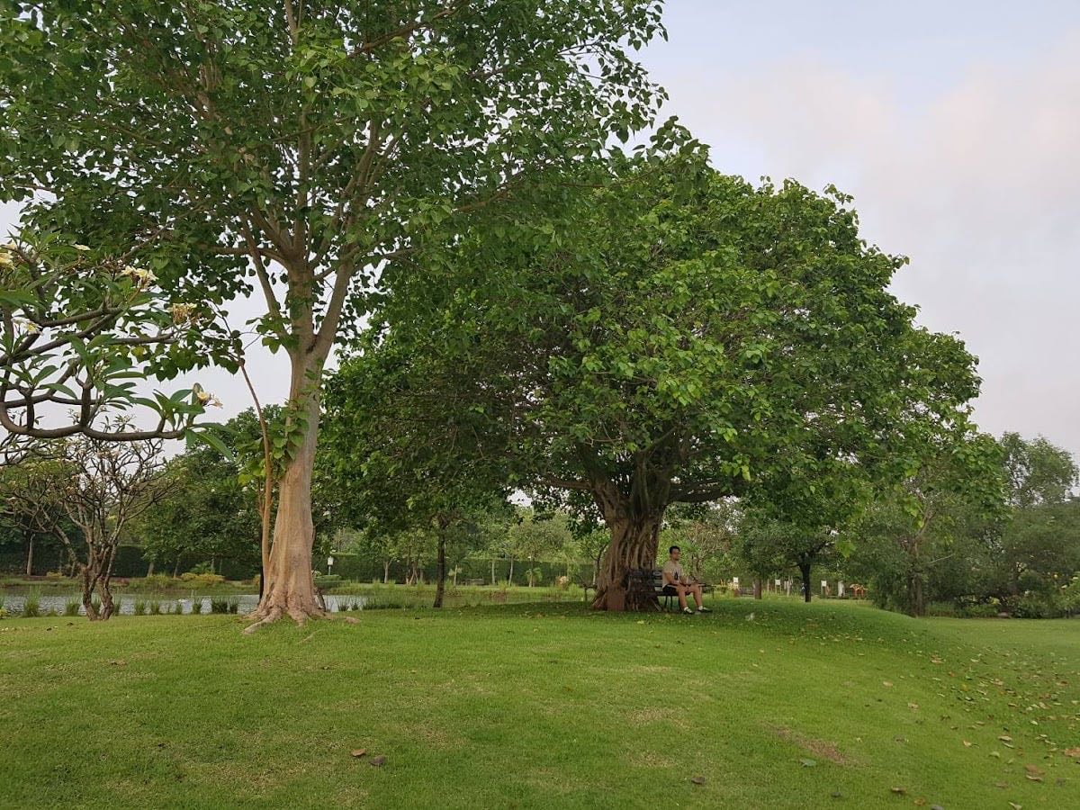 Wanatham Park