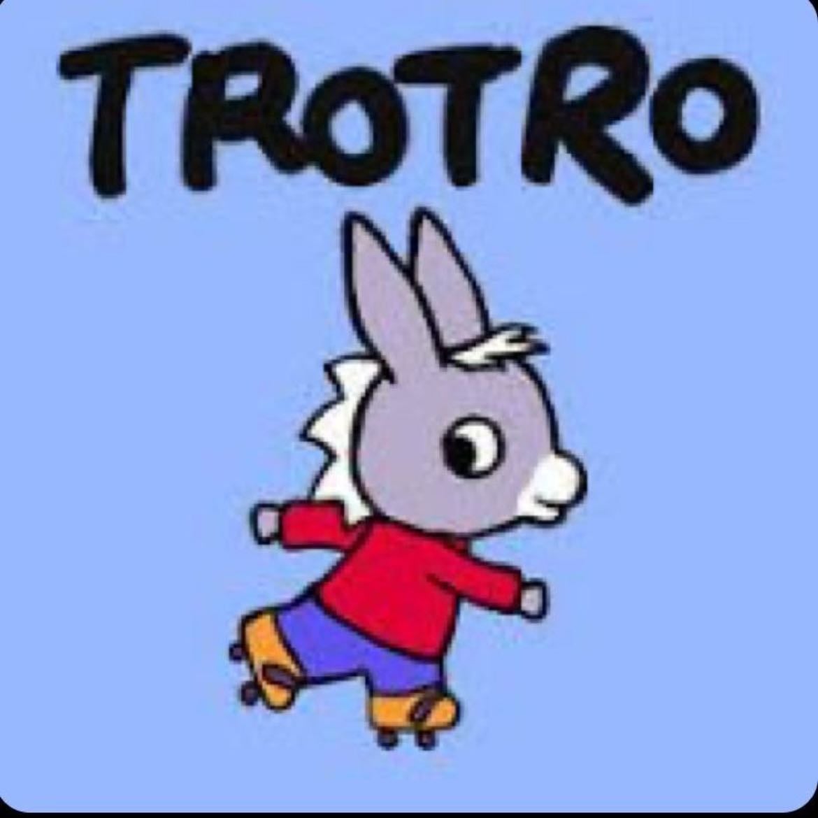 7. Trotro