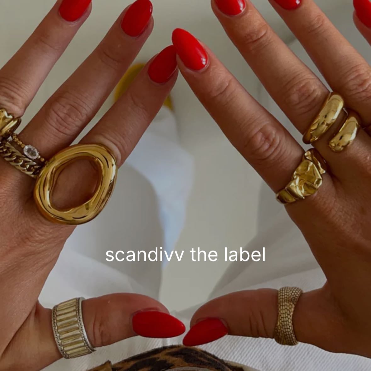 scandivv - π