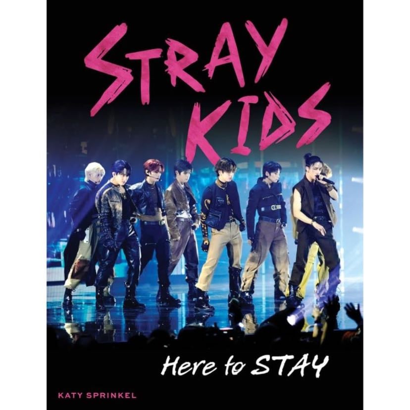 book of stray kids posters - one like this