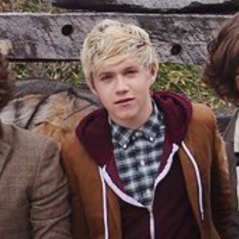 gotta be you niall - HE + LOU DESERVED SOLOS IN THIS. CUTIE
