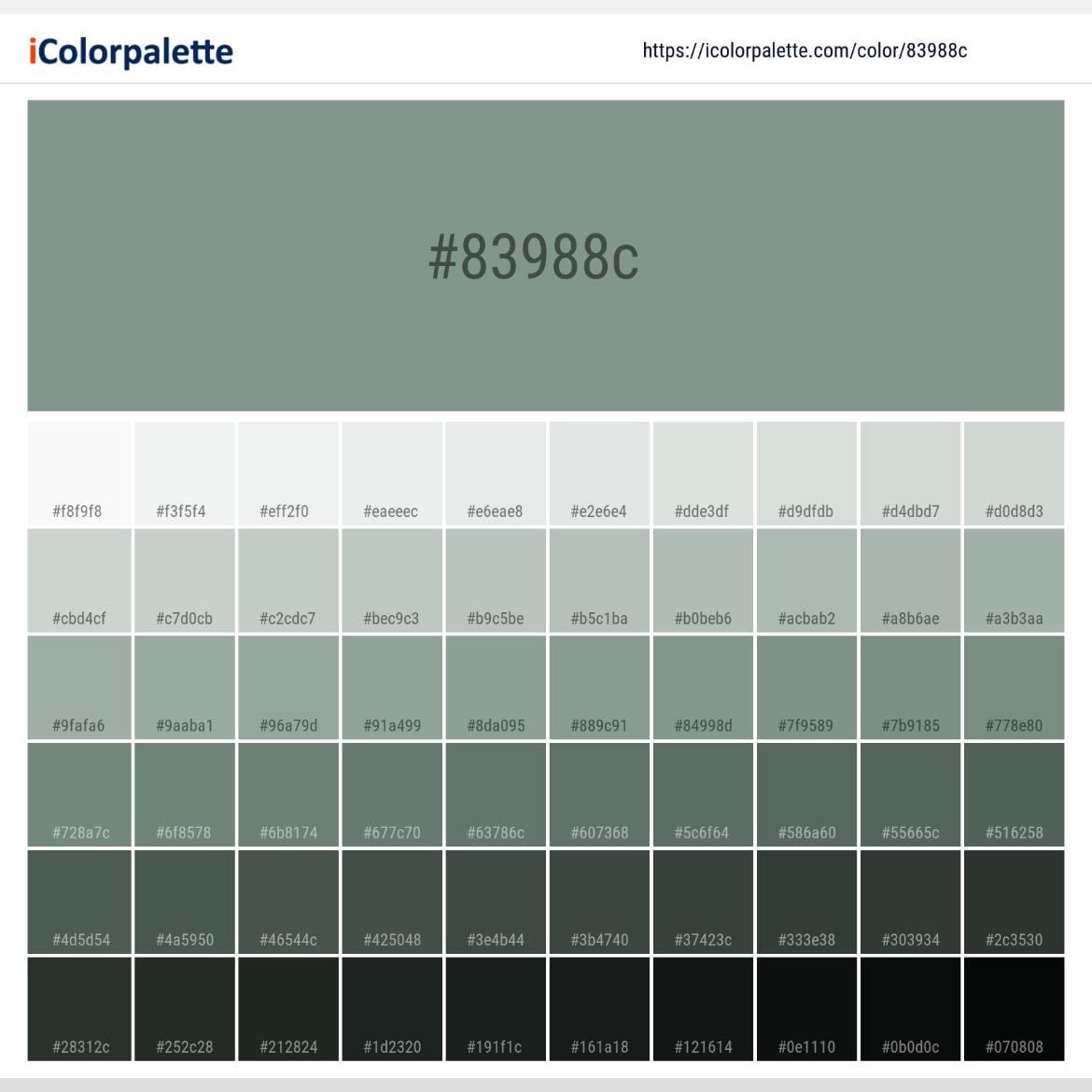 FOUND COLOR