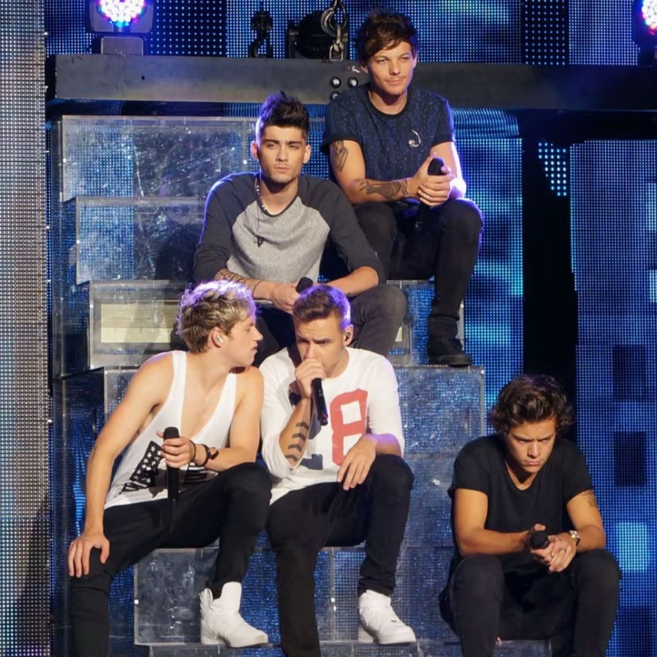 go see a 1d member live! - i havent seen anyone live so i hope someone drops an album hehe