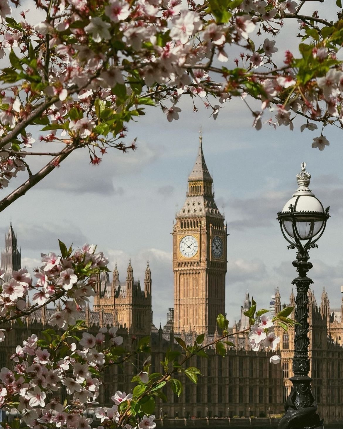 London - x3