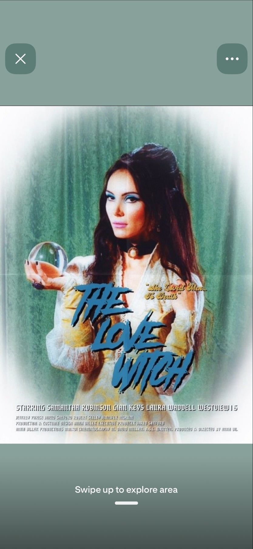 The Love Witch - Anna Biller · 2016