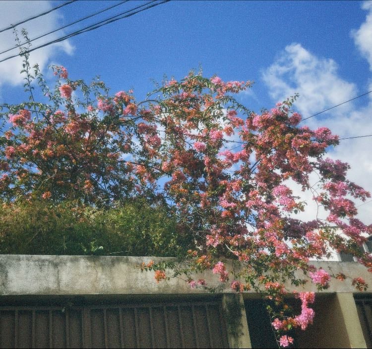 Pasatiempos