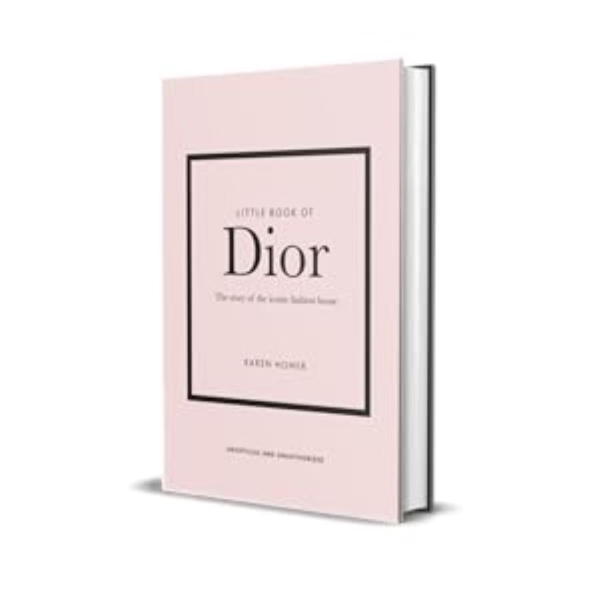 dior mini