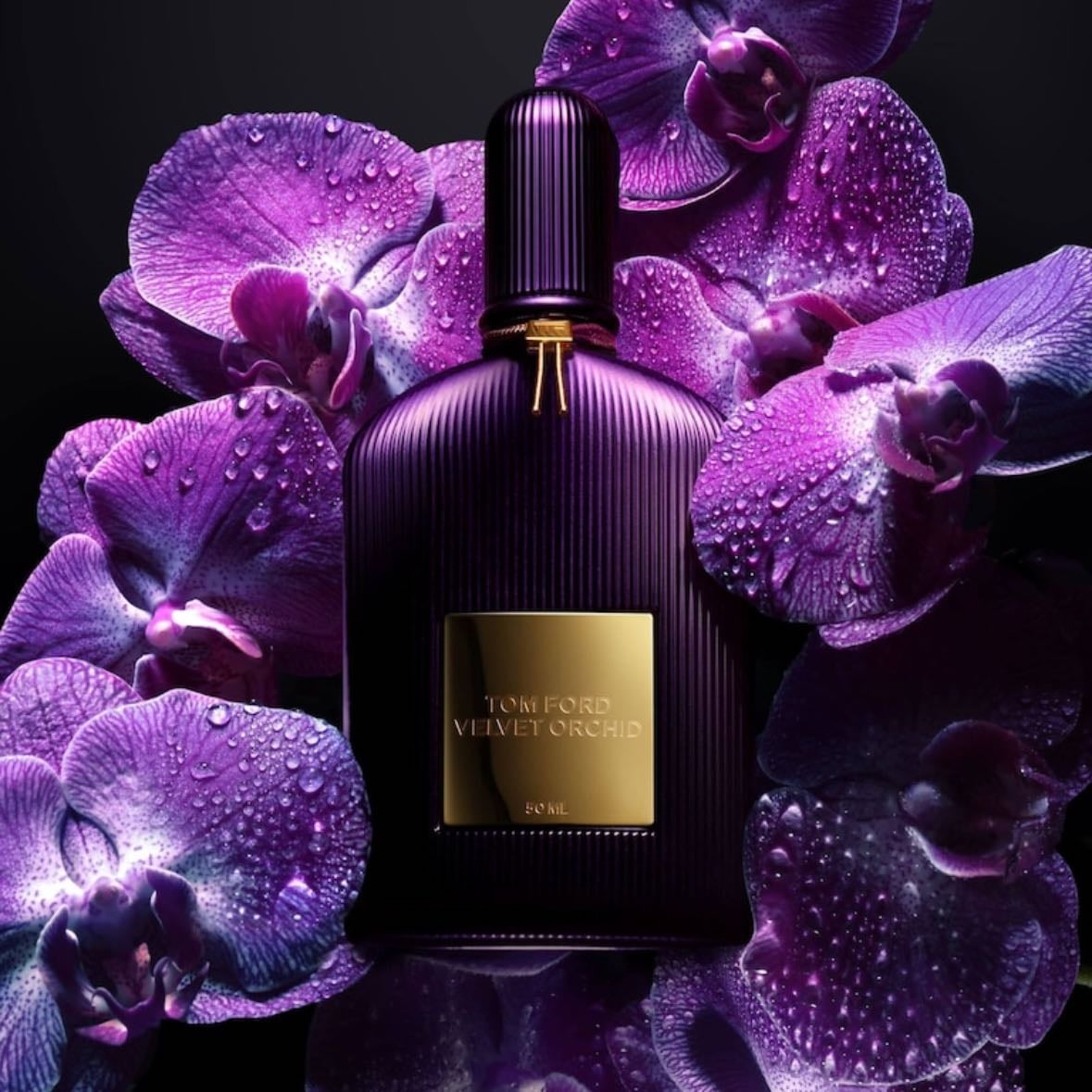 velvet orchid