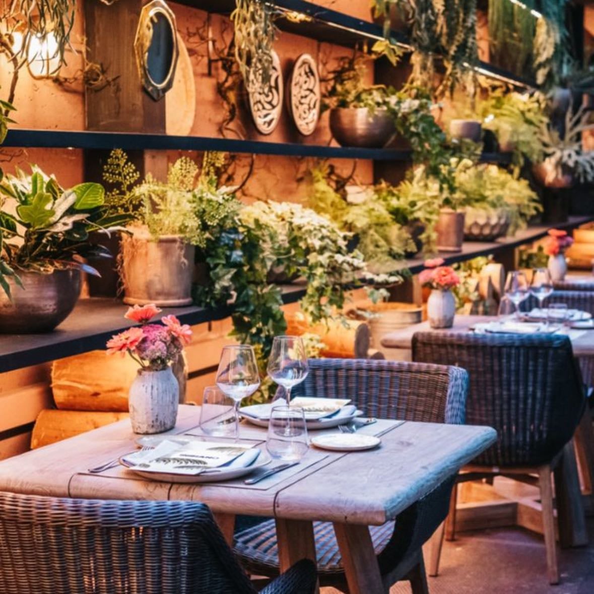 La Palmera del Indiano