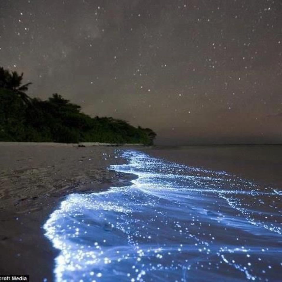 ver el mar estrellado - en maldivas