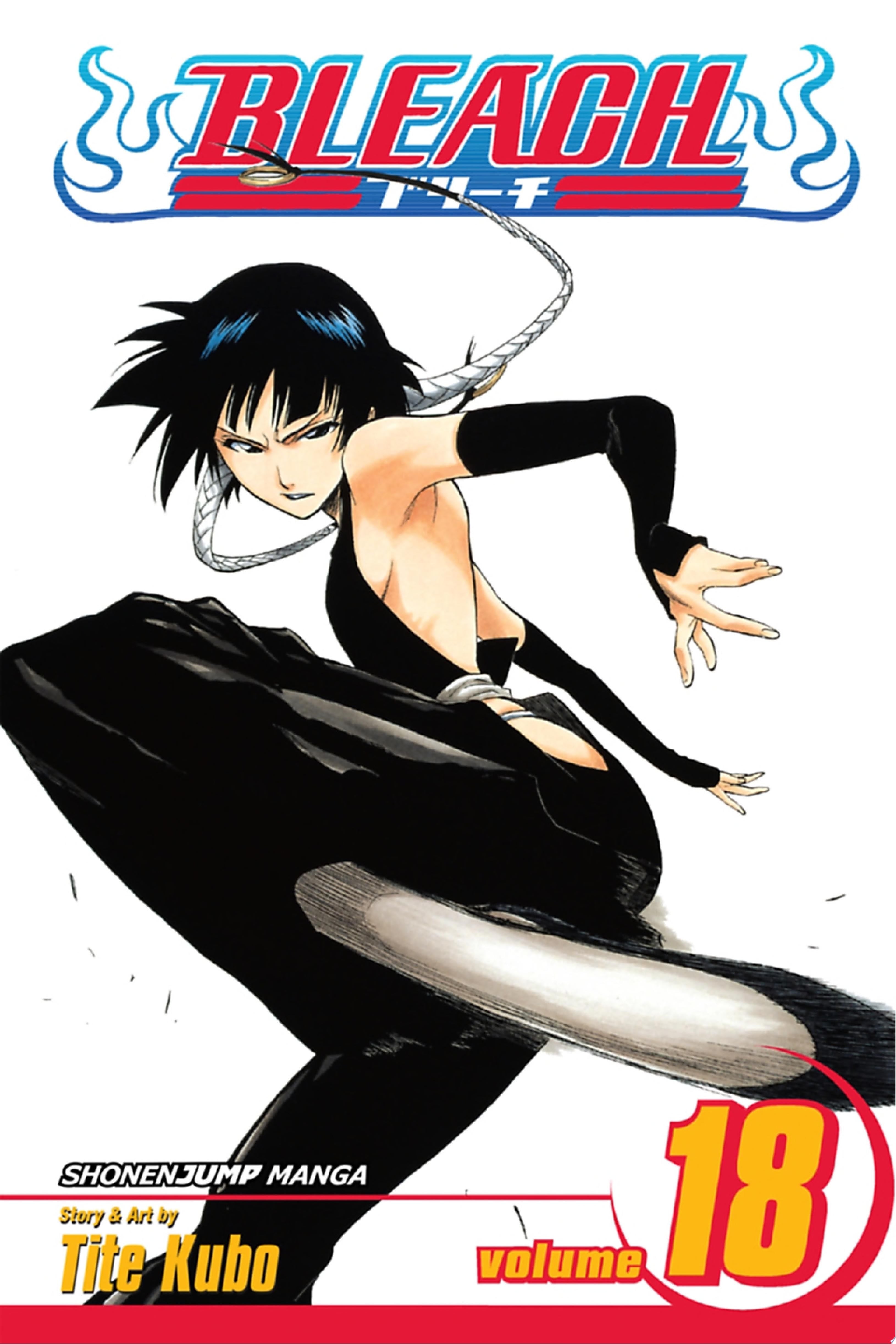 Bleach - Tite Kubo · 2011