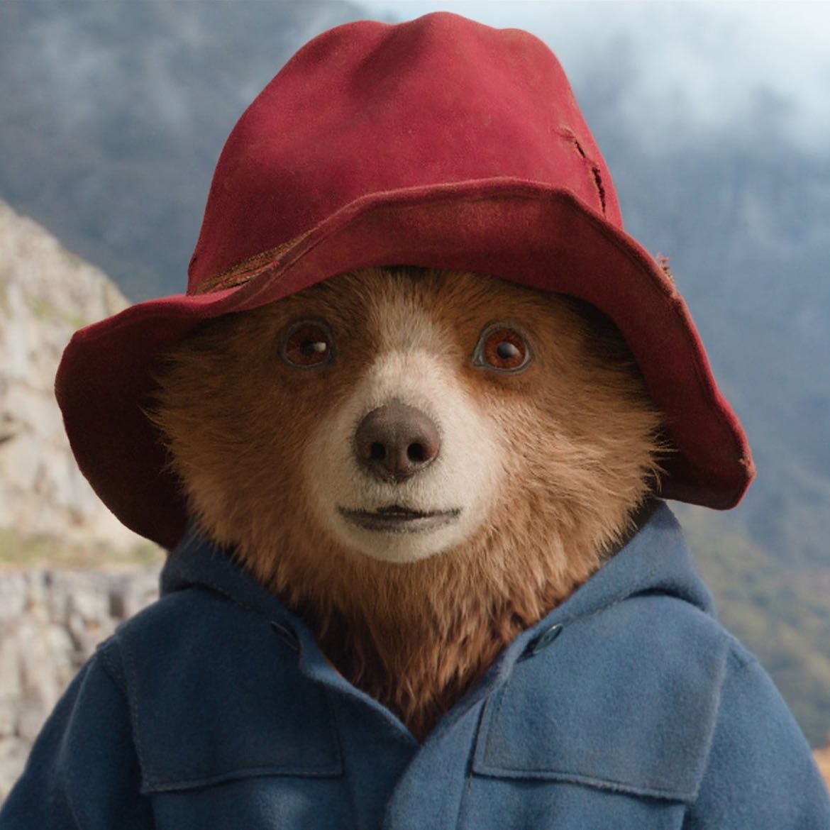 paddington bear - paddington