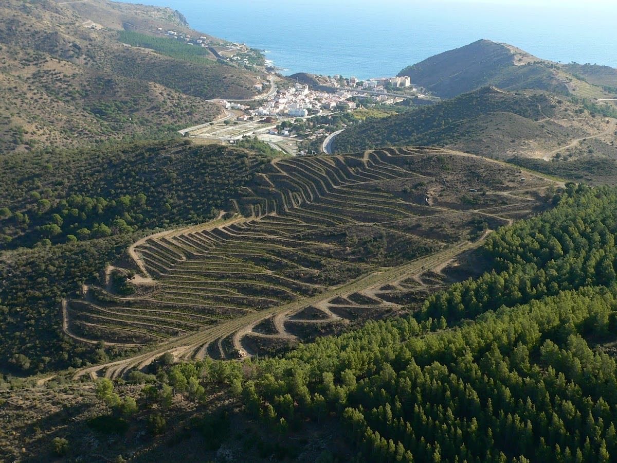 Celler Hugas de Batlle - Wine tasting in Girona