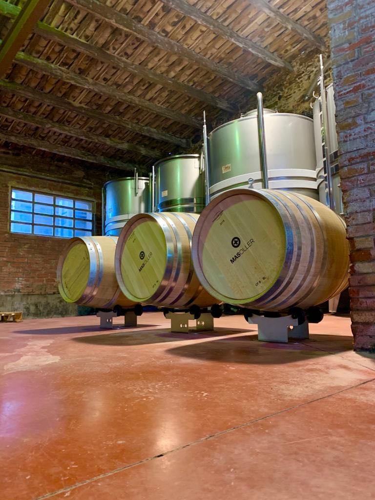 Mas Oller - Wine tasting