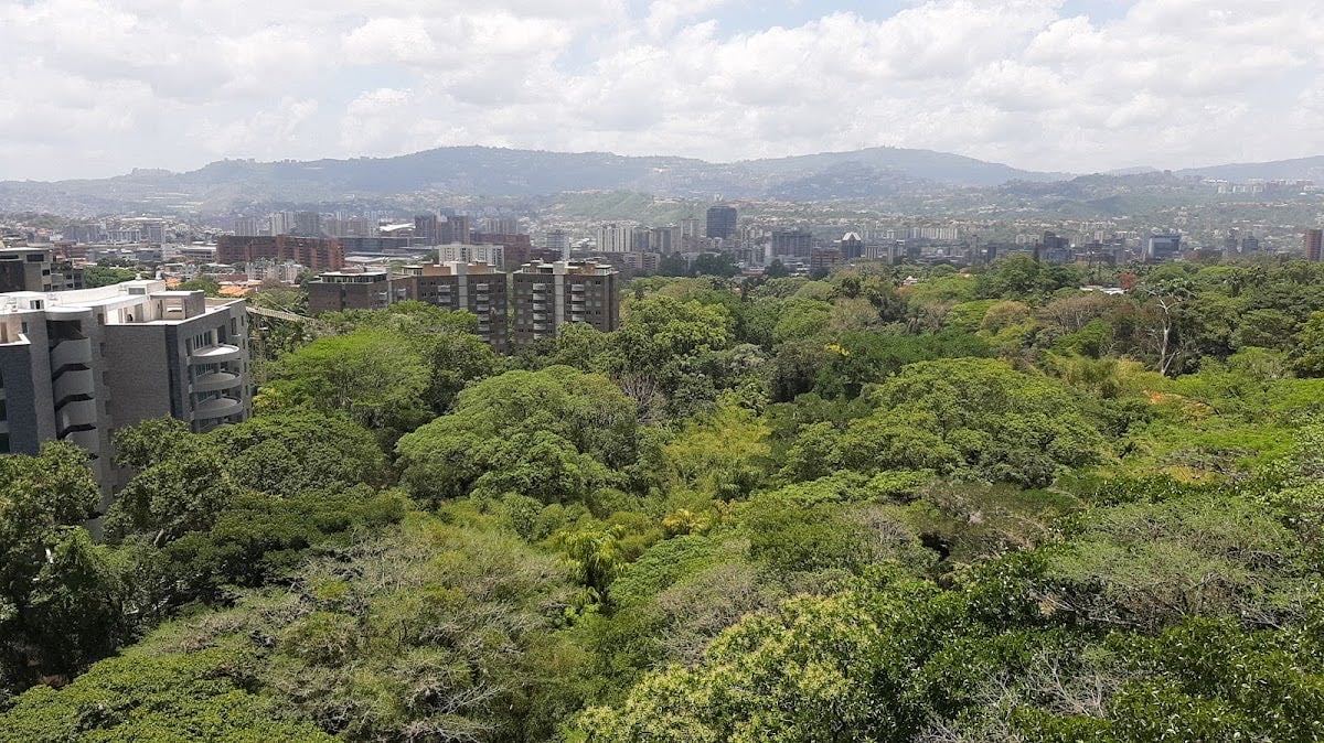 Cota Mil