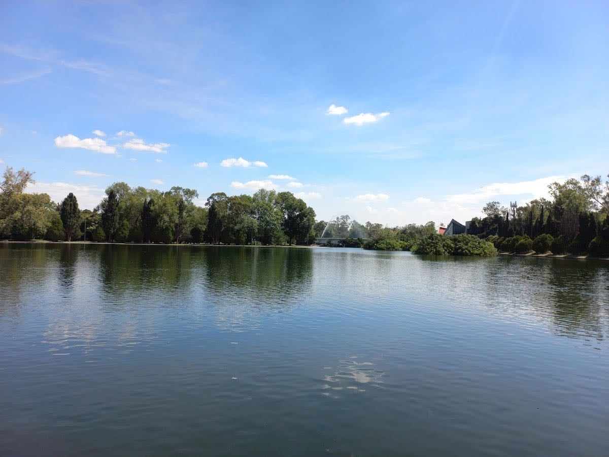 Bosque de Chapultepec II Sección