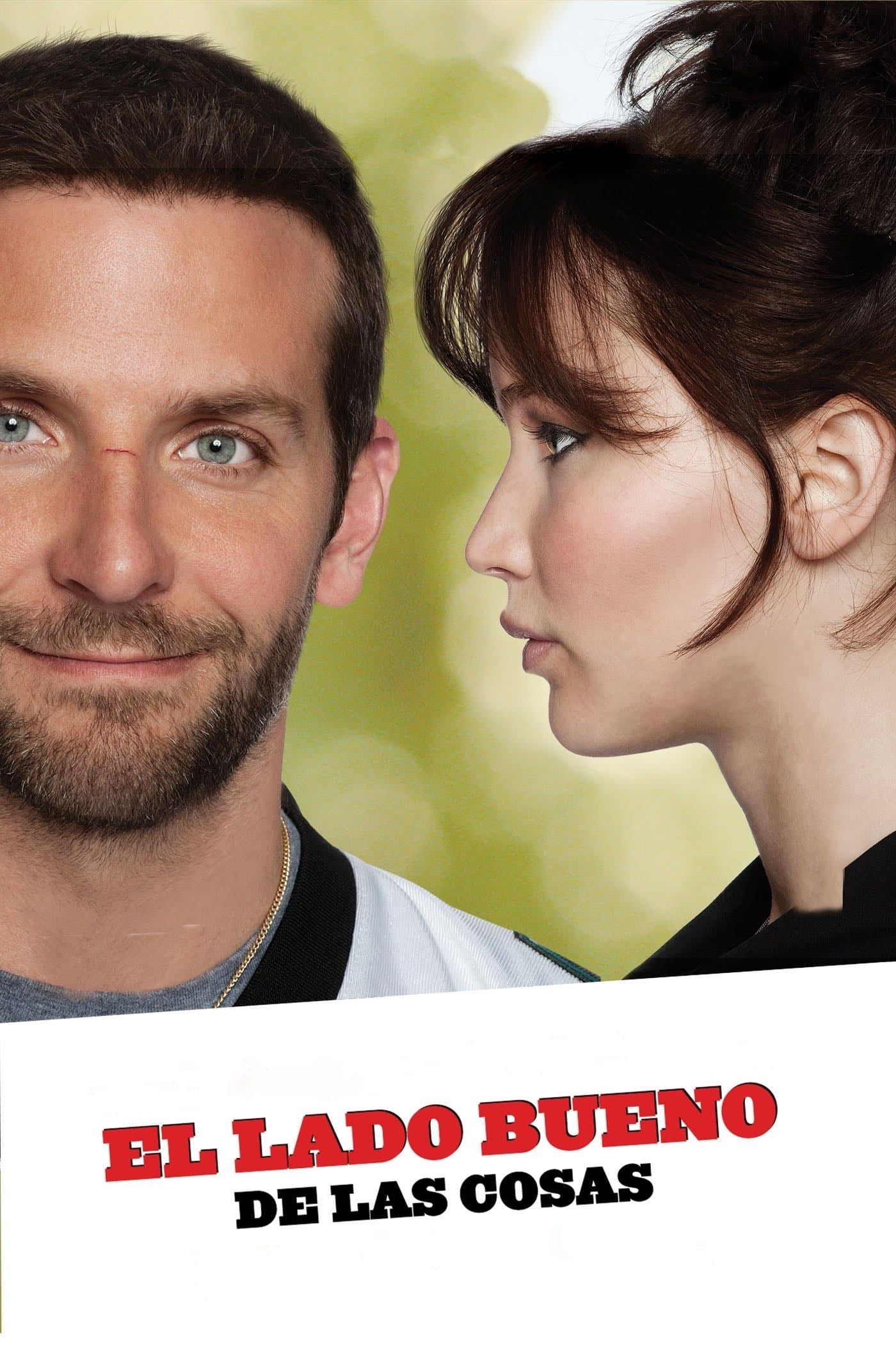 El lado bueno de las cosas - David O. Russell · 2012