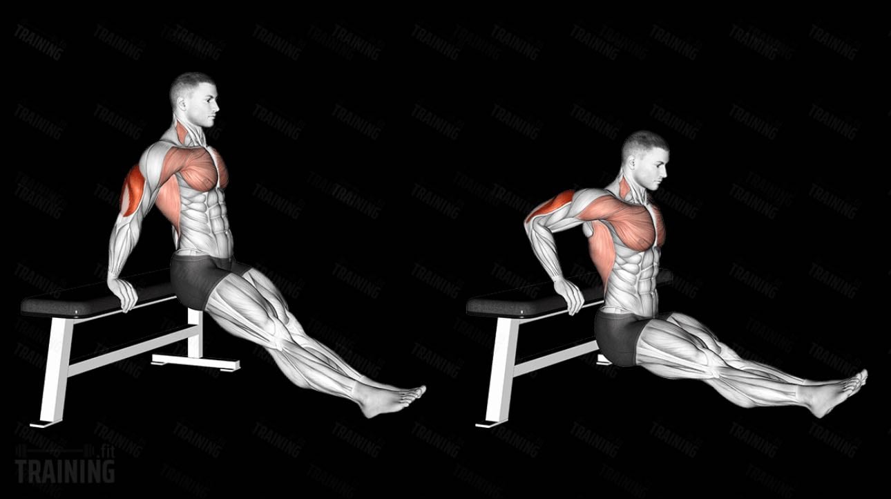 Tricep dips - Wourkout (3 rounds) -Upper body & posture-