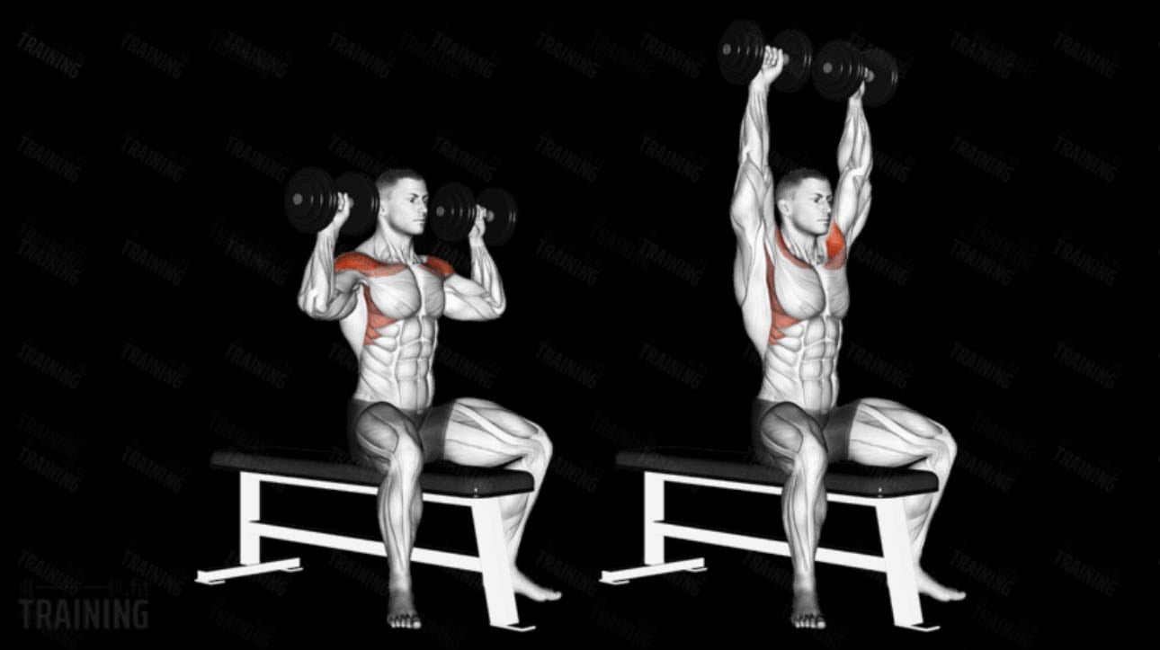 Shoulder press - Wourkout (3 rounds) -Upper body & posture-