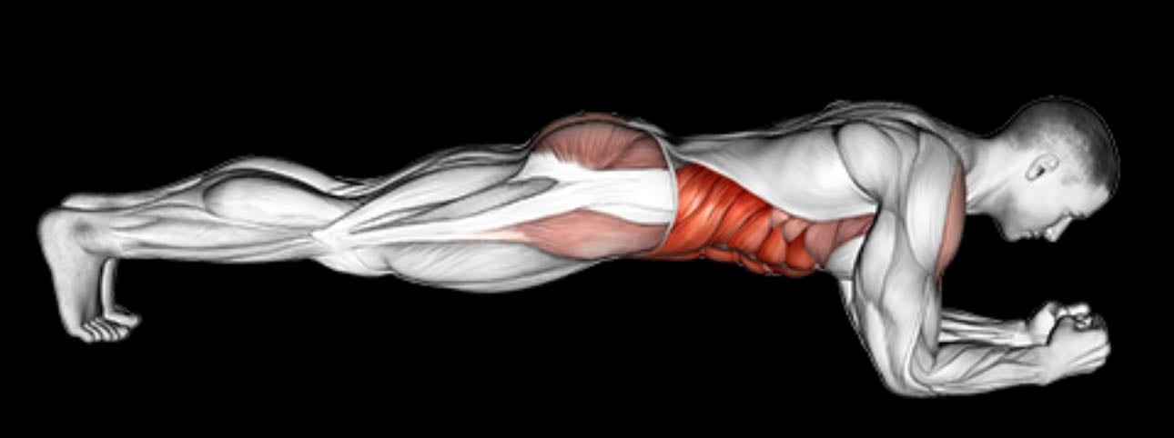 Plank hold - Finisher