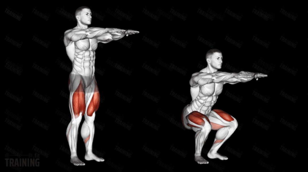 Bodyweight Squats - Warm Uo