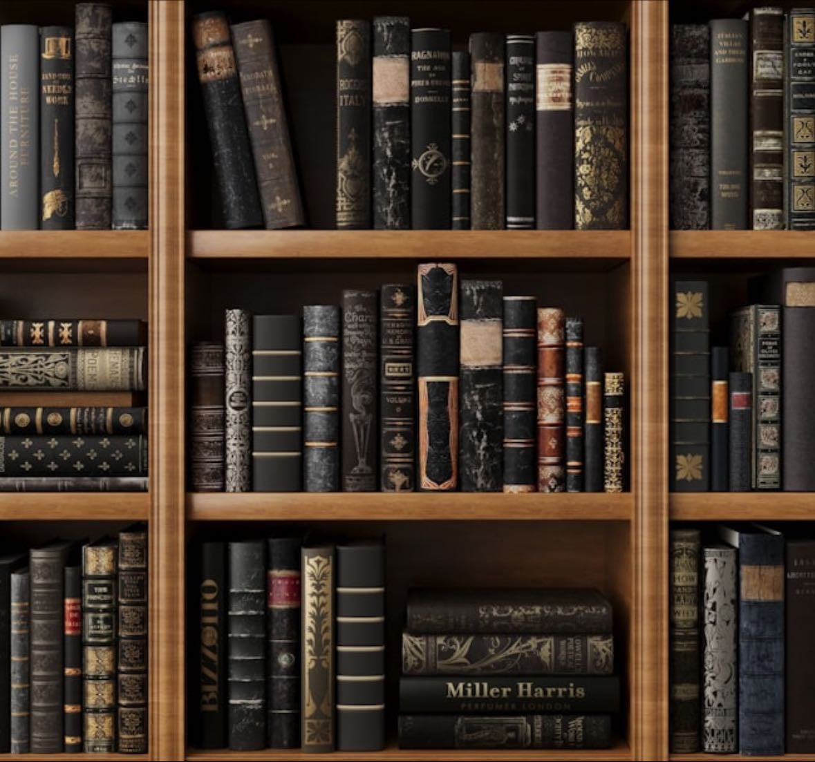 digital bookshelf - Books hypelist by Evelyn Johnson