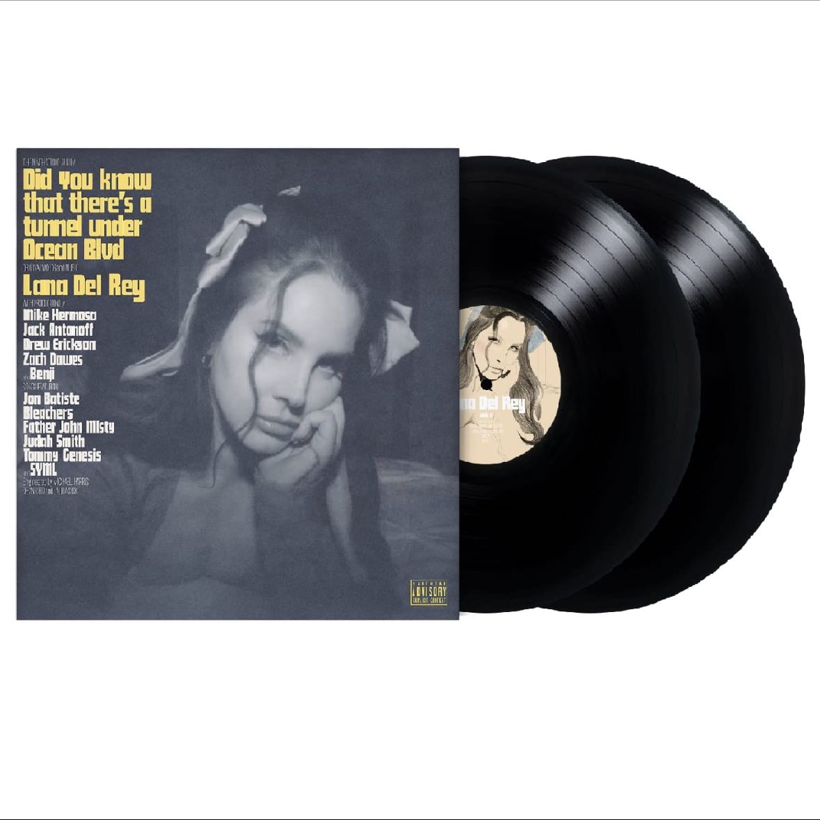 did you know that there’s a tunnel under ocean blvd on vinyl - album • lana del rey