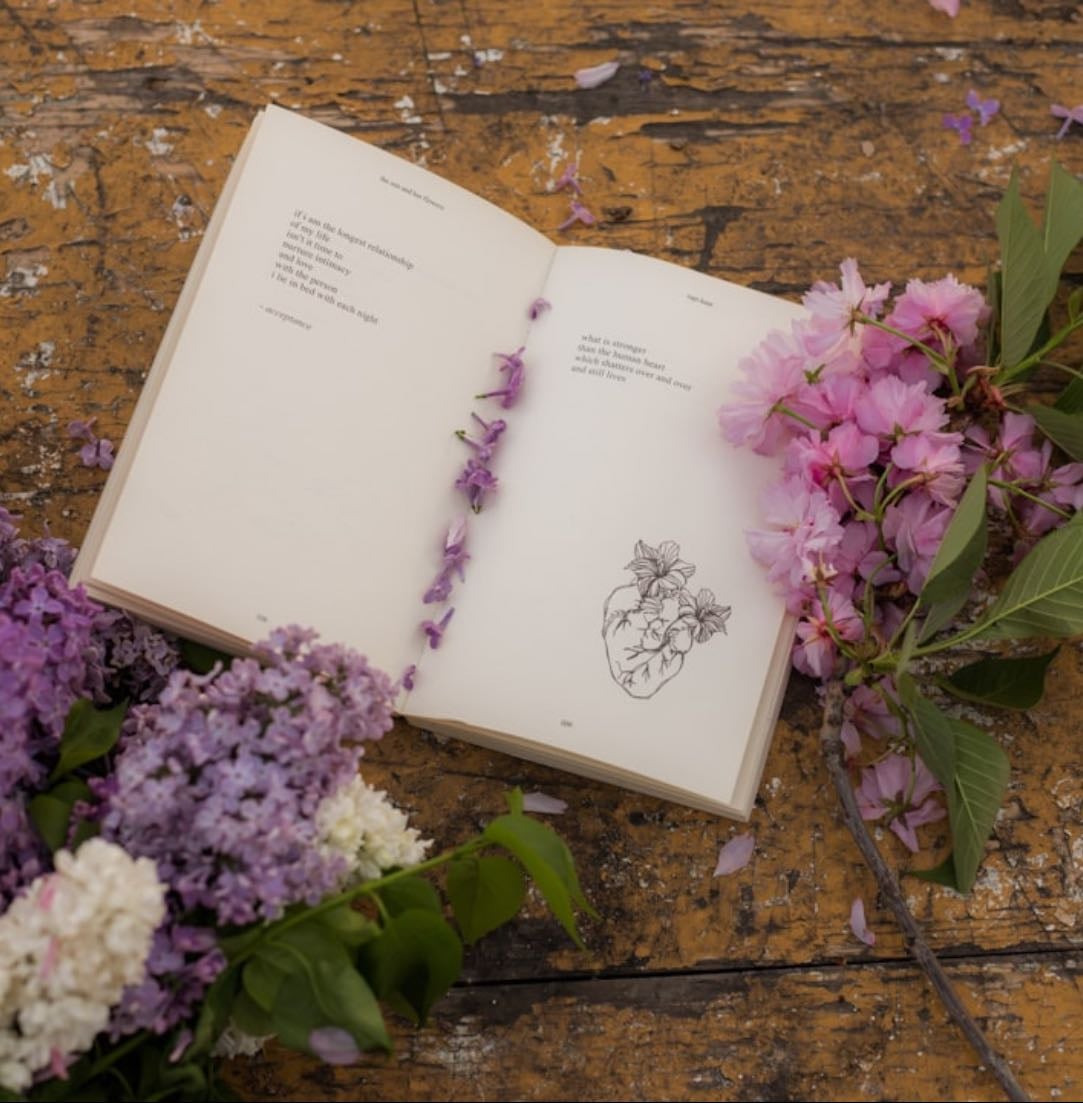 Books - 2026 β¨