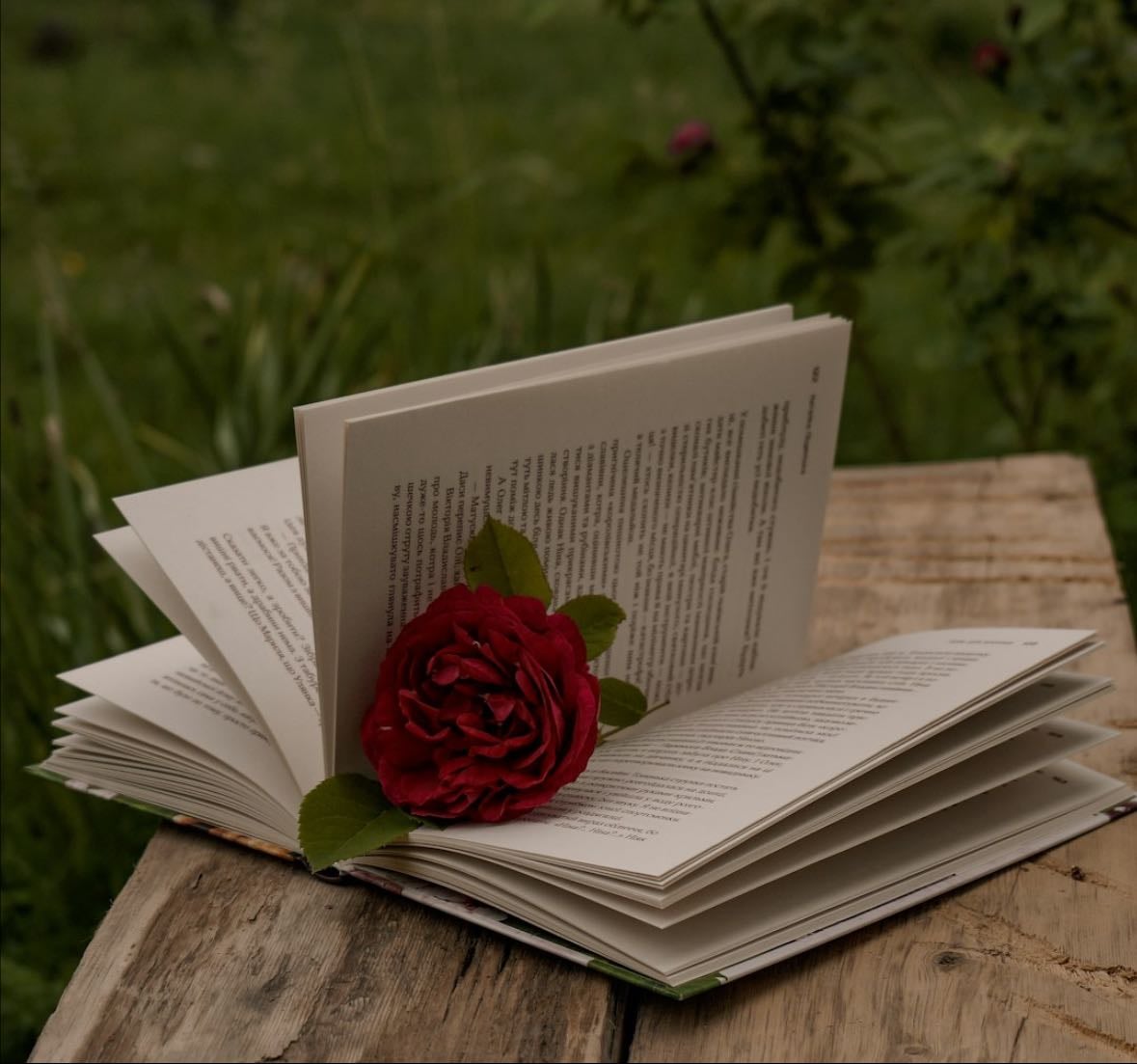 Libros por leer π