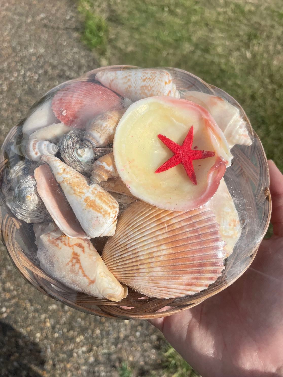shells - when I was in late june I bought a pack of shells with my best friend and I realised how beautiful they were , I still believe the most beautiful natural things come from the sea , I had a great desire to display them on beautiful ways , firstly by making a necklace . I also loved finding some of my own in the beach in portugal.