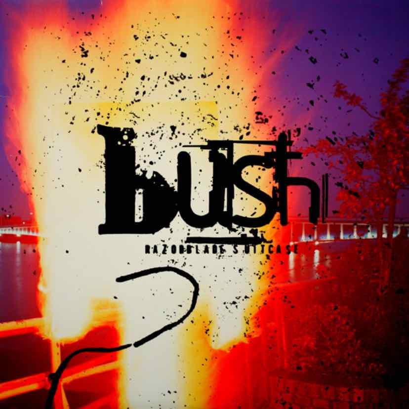 Bush
