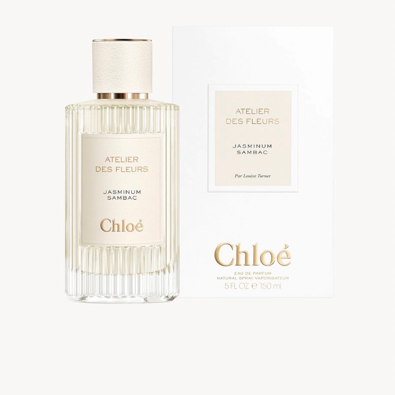 Jasminium sambac - Chloe