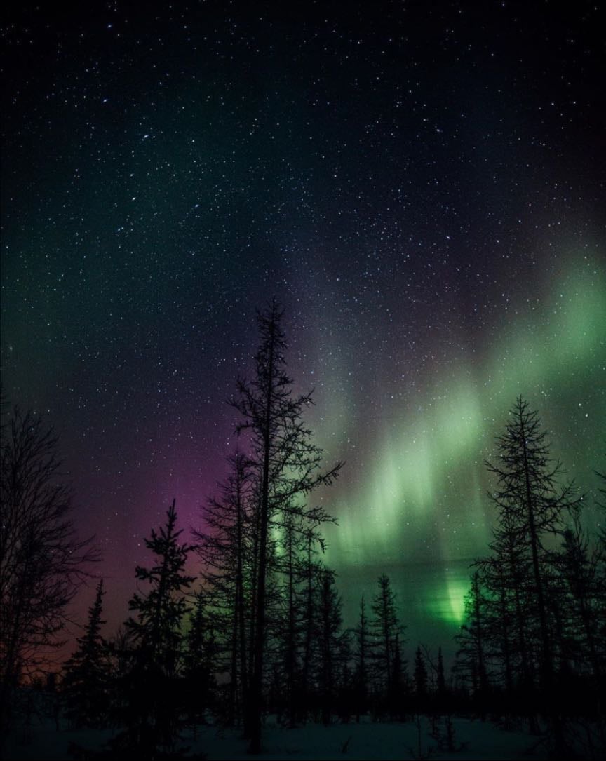 See the Northern Lights