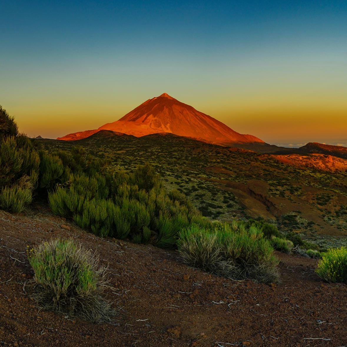 Teide🌋 - El volcán
